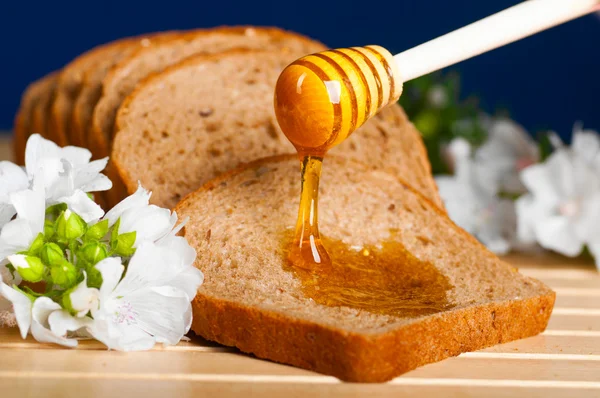 Honung och bröd — Stockfoto