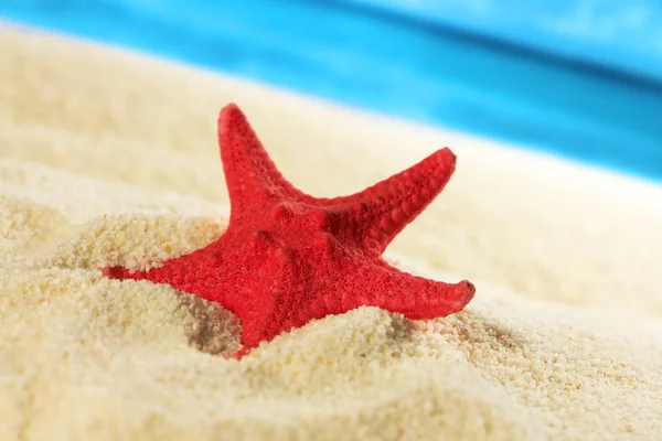 Starfish at the beach — Stock Photo, Image
