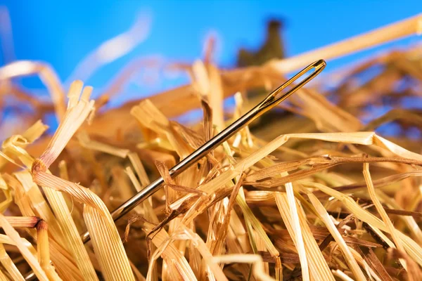 Needle in a haystack — Stock Photo, Image