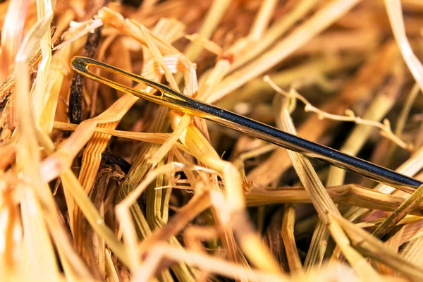 干し草の山の中の針 — ストック写真