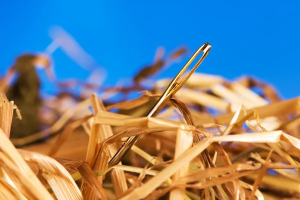 Needle in a haystack — Stock Photo, Image
