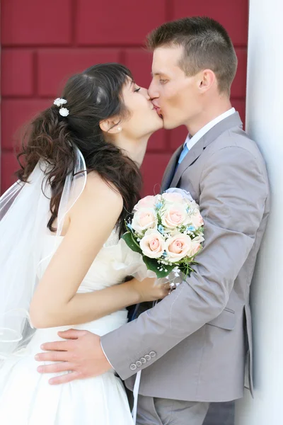 La novia y el novio — Foto de Stock