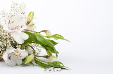 beyaz çiçek alstroemeria