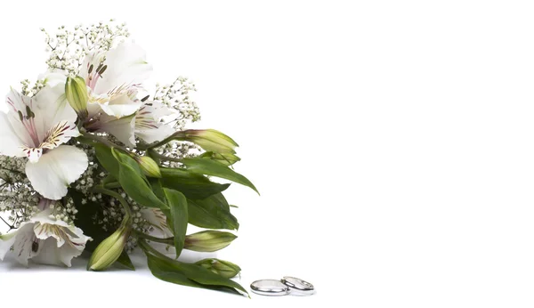 白い花アルストロメリア — ストック写真