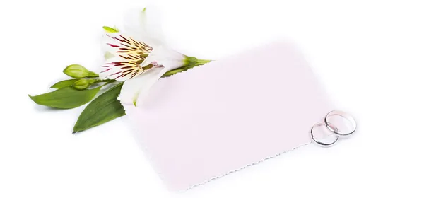 Beyaz çiçek alstroemeria ve metin için kart — Stok fotoğraf