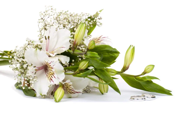 Alstroemeria flor blanca — Foto de Stock