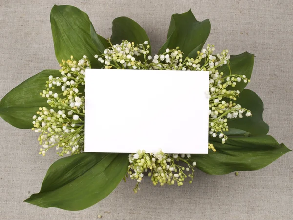 방울 꽃에 대 한 축 하 카드 — 스톡 사진