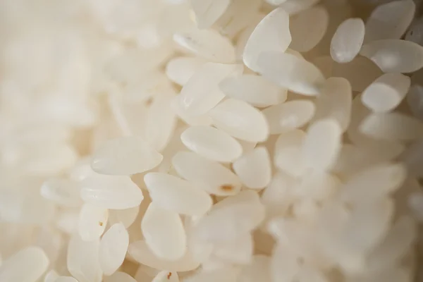 Granos de arroz crudo . — Foto de Stock