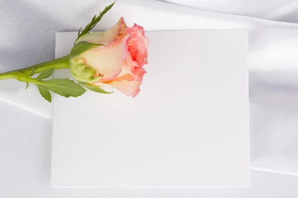 Hermosa rosa y tarjeta para su texto — Foto de Stock