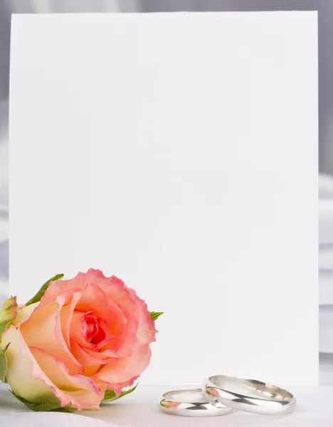 Nádherná růže a kartu pro váš text — Stock fotografie