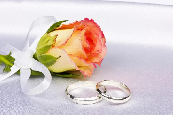 Linda rosa e anéis de casamento — Fotografia de Stock