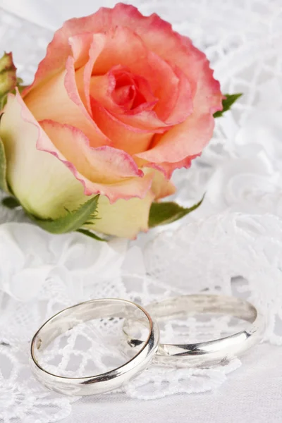 Beautiful rose and wedding rings — Stock Photo, Image