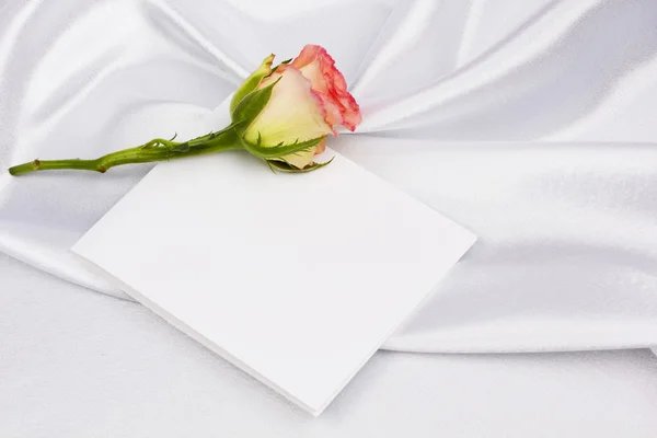 Beautiful rose and card for your text Stock Image