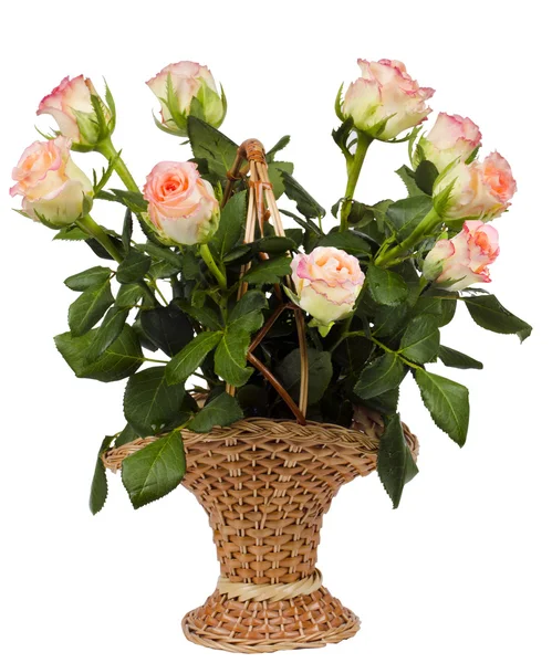 Маленький букет роз — стоковое фото