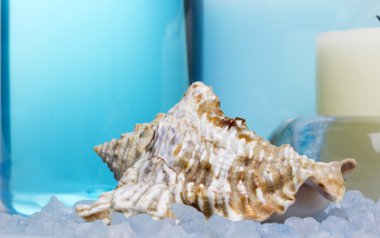 vücut bakımı için ayarla