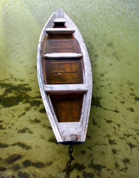 Boat in a cane — Stock Photo, Image