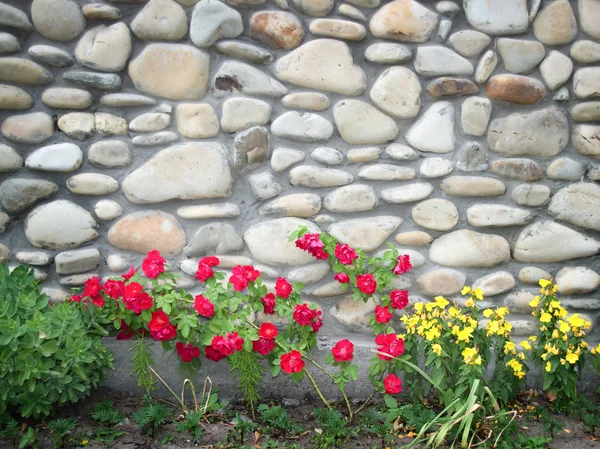 stock image Flowers against to ancient wall