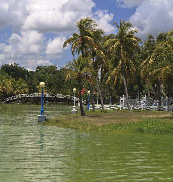 Liten ö med palmer och gatan lyktor i park — Stockfoto