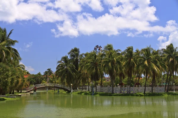 Eilandje met palmen en voet-brug in park — Stockfoto