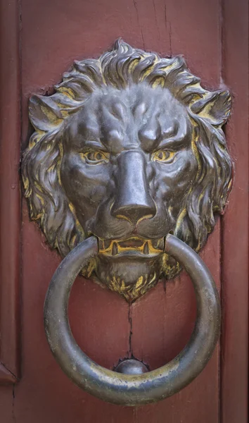 Batedor de porta de latão em forma de leão feroz — Fotografia de Stock