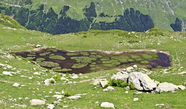 Küçük dağ gölü — Stok fotoğraf