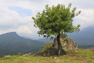 Lonely tree and ruins on mountin clipart