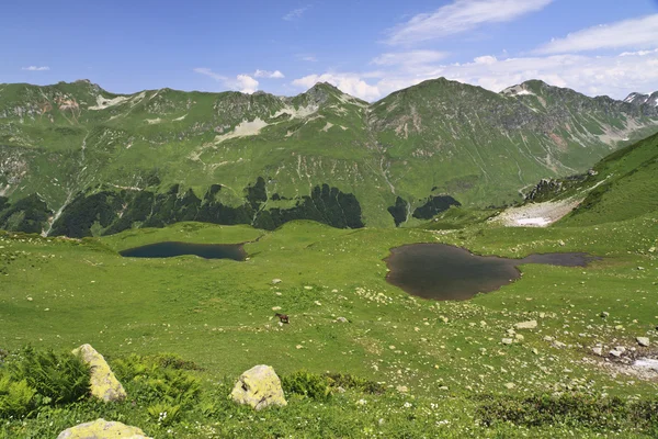 Dos lagos de montaña — Foto de Stock