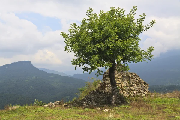 Yalnız ağaç ve mountin üzerinde Harabeleri — Stok fotoğraf