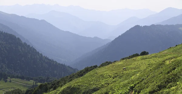 Панорама гірських країв — стокове фото