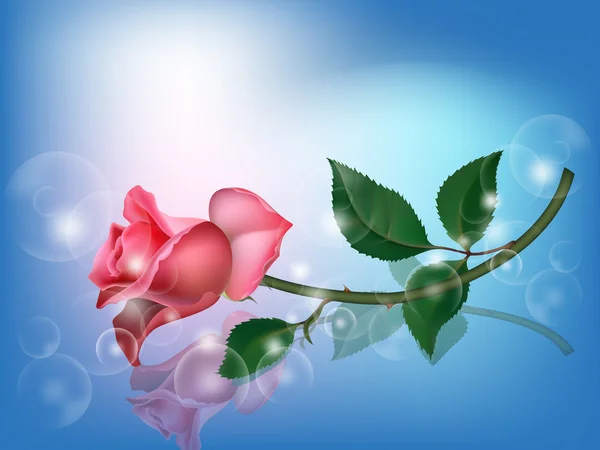Rose sur bleu — Image vectorielle