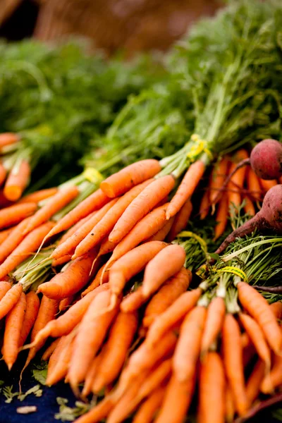 Mazzi di carote fresche — Foto Stock