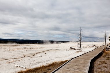 Boardwalk Yellowstone