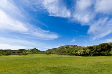 Diamond head devlet Anıtı