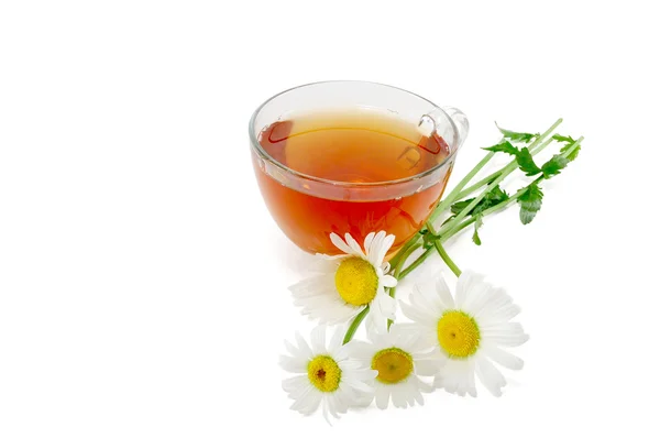 Tea and white daisies — Stock Photo, Image
