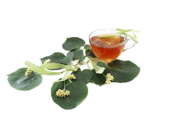 Curative tea from the flowers of linden — Stock Photo, Image