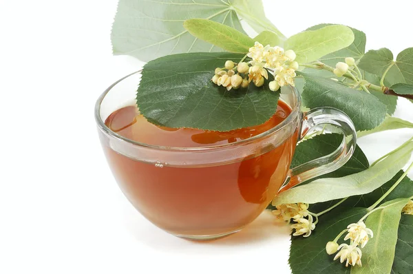 Curative tea from the flowers of linden — Stock Photo, Image