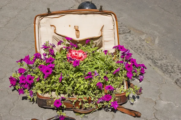 Maleta vieja con flores — Foto de Stock
