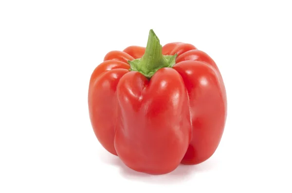 Ein roter Paprika — Stockfoto