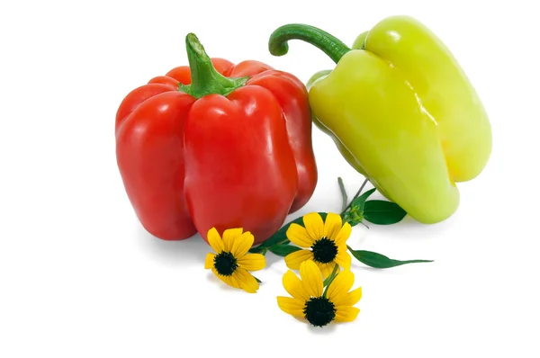 Roter und grüner Paprika mit gelben Farben — Stockfoto