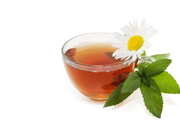 Tea with a branch of mint and a camomile flower — Stock Photo, Image