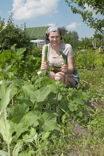 Lächelnder Gärtner im Gemüsegarten. — Stockfoto