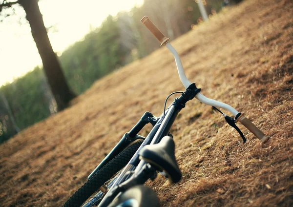 Bicicleta — Fotografia de Stock