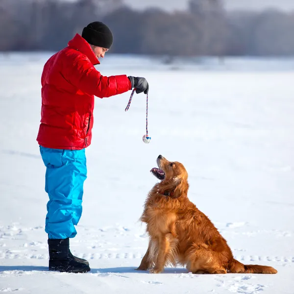 Genç adam köpekle oynamayı — Stok fotoğraf
