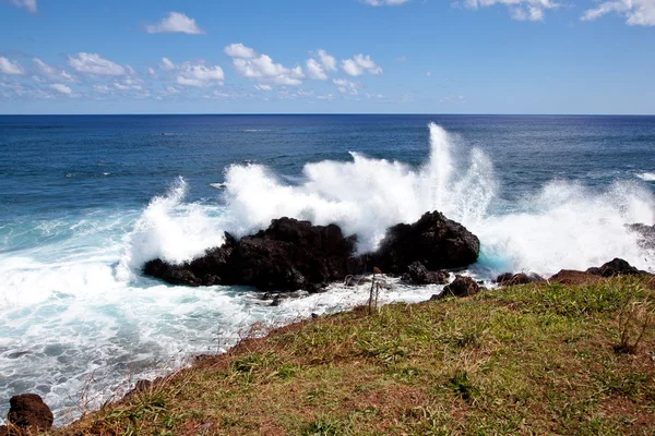 Isla de Pascua Costa — Foto de Stock