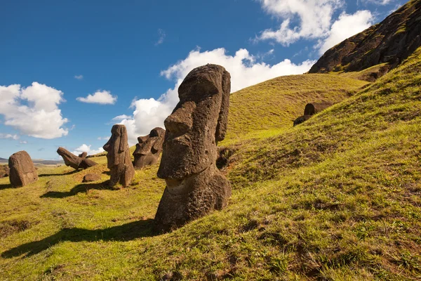 Статуи острова Пасхи — стоковое фото