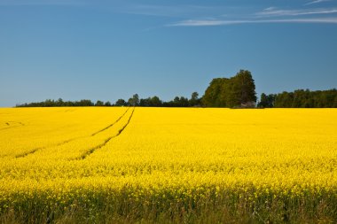 Blooming farmers crops clipart