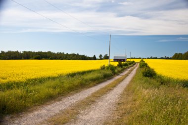 Blooming farmers crops clipart