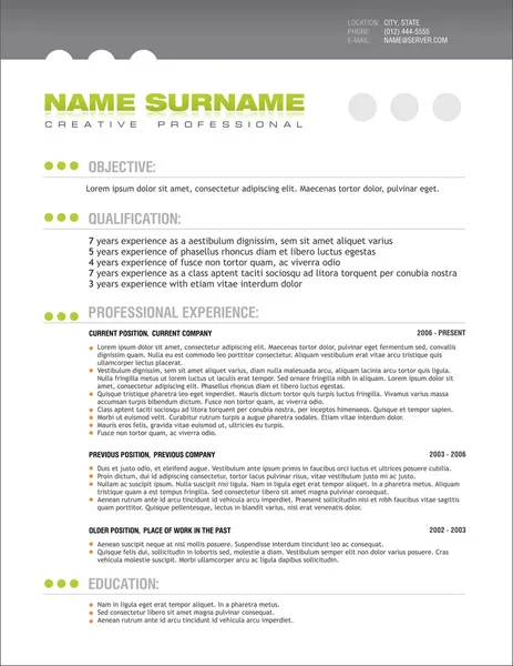 Clean professional resume layout template — Stock Vector