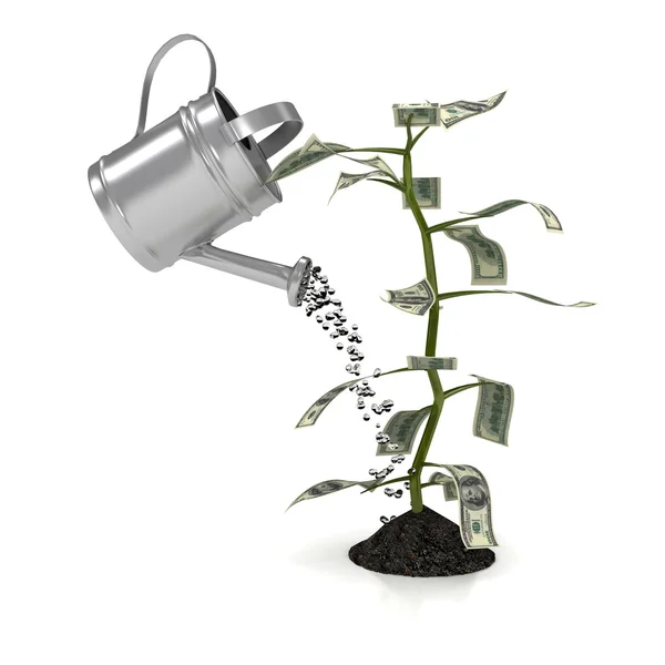 Φυτό χρήματα πάνω από το λευκό φόντο — Φωτογραφία Αρχείου