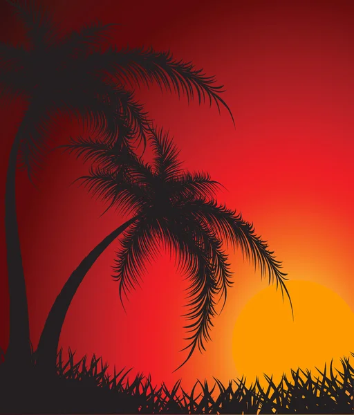 Silhouetten van palmbomen tegen een daling — Stockvector